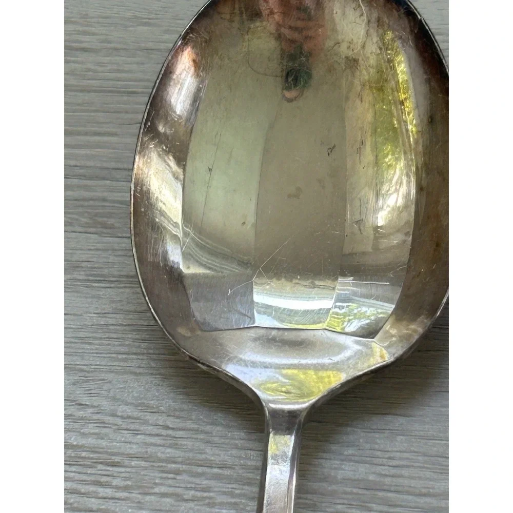 Oneida Morning Star Set 17 Pcs. Forks Community Vtg Silverplate Flatware Spoons